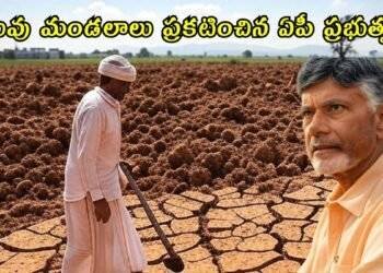 Ap 51 Drought Mandals Relief Scheme