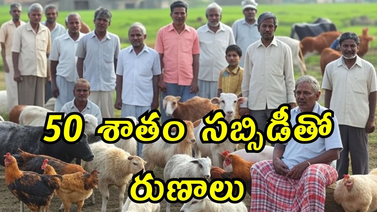 Subsidy Loans 2025